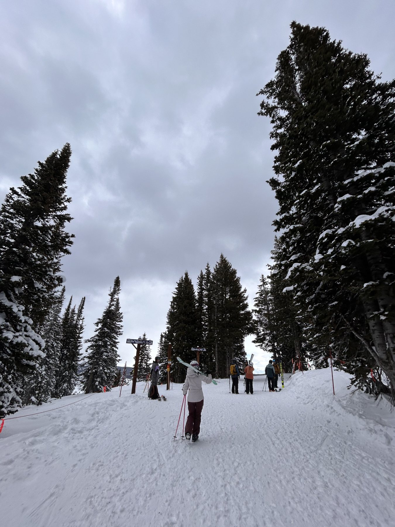 Snowy forest trail